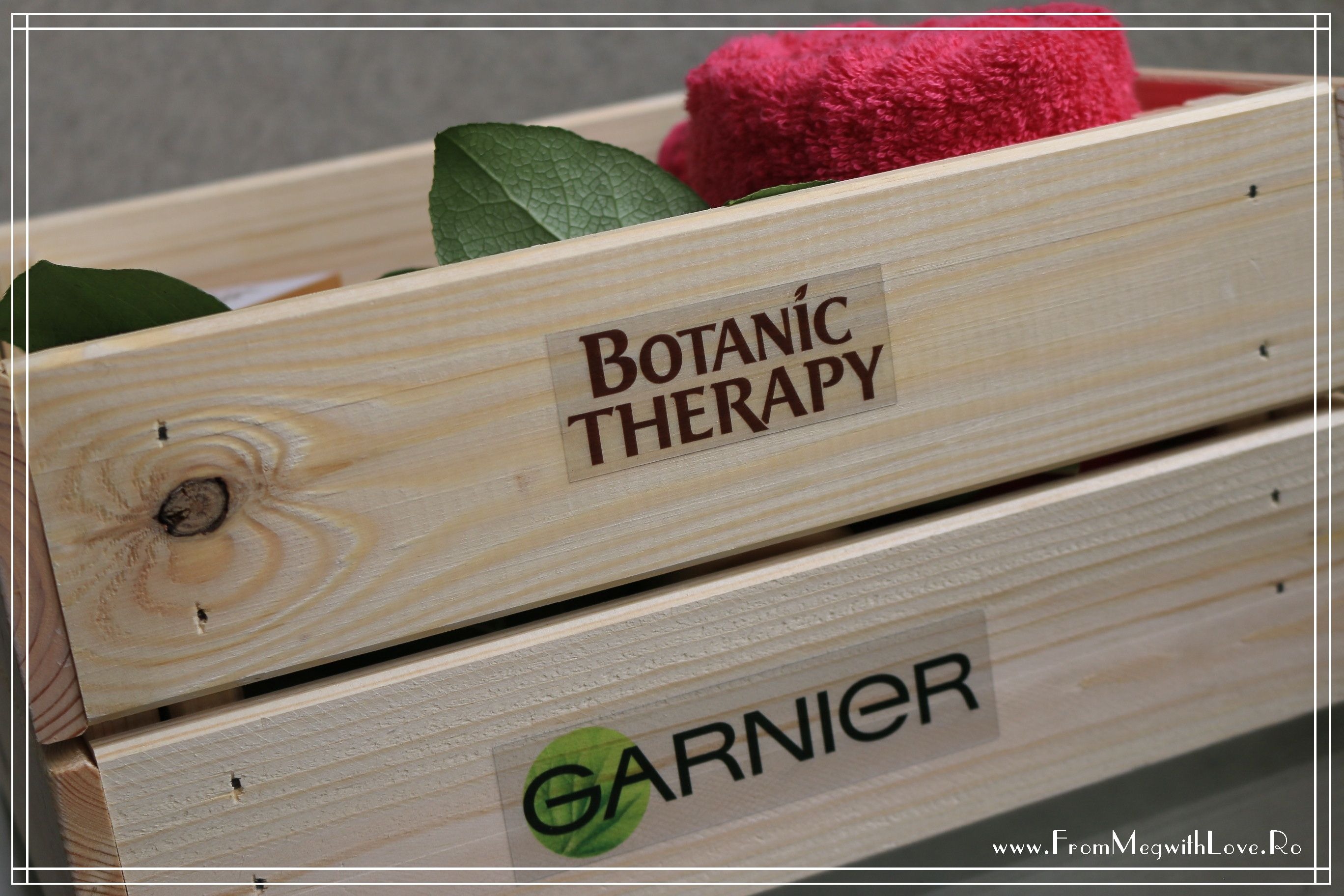 botanic therapy garnier (6)